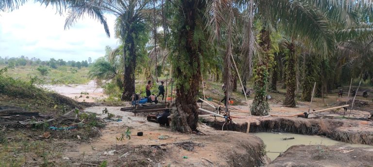 IMG-20260314-WA0053(1)