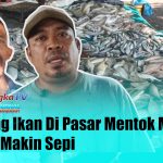BANGKA TV07